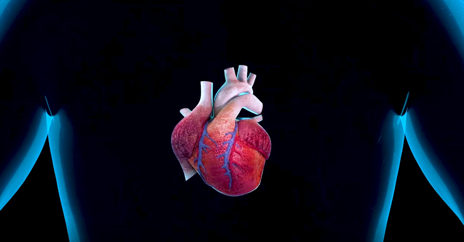 3D Animation